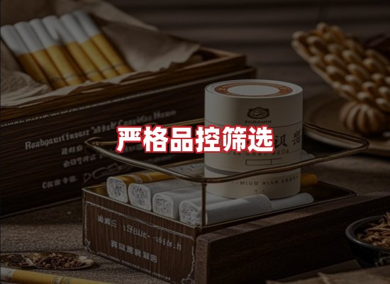 专业团队
